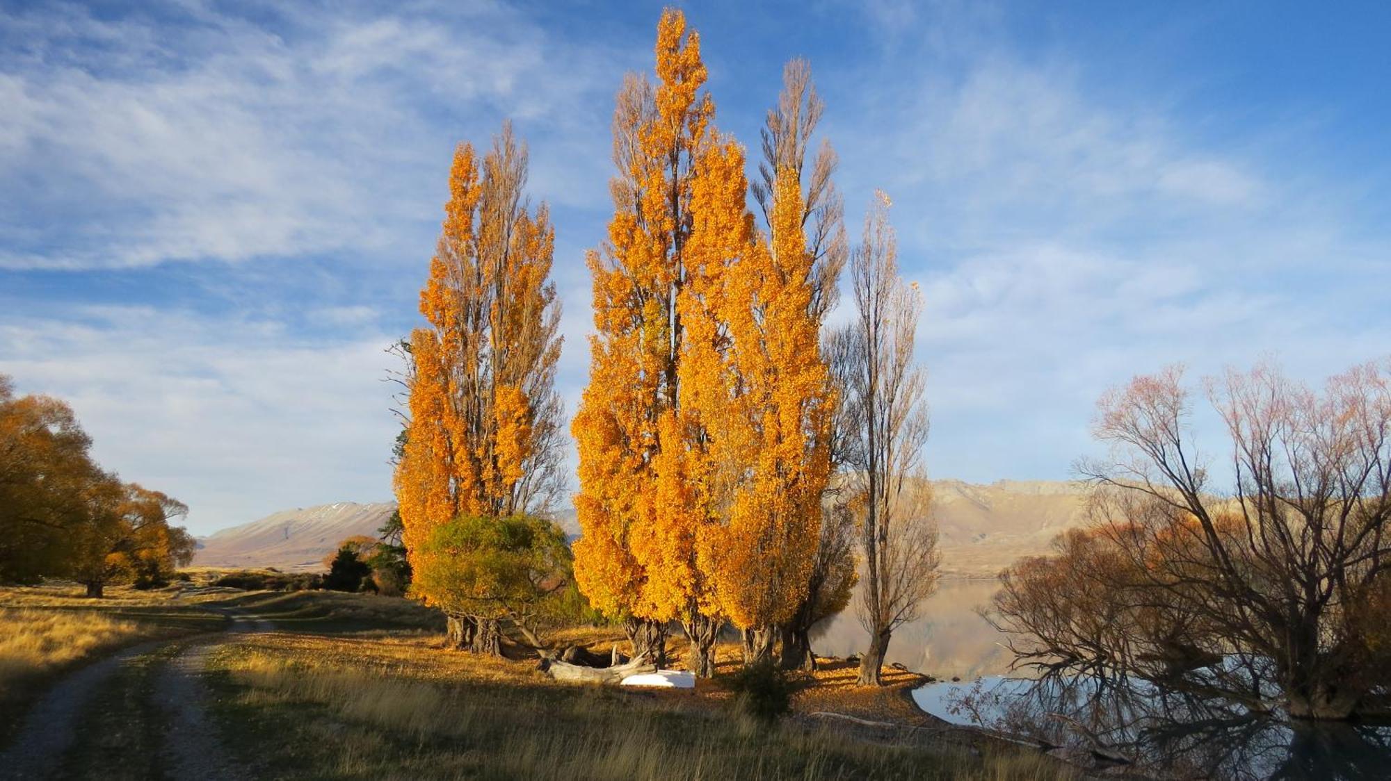Lake Views At Antler Lodge Lake Tekapo Exterior foto